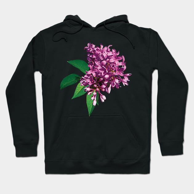 Lilacs - Pink Lilac Clusters Hoodie by SusanSavad